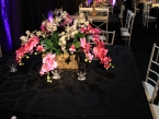 /imagens/849/145x109IMG_7087.jpg