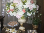 /imagens/974/145x109IMG_3631.jpg