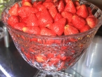 /imagens/976/145x109IMG_3752.jpg